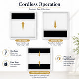 No Drill Blinds for French Doors, Cordless Top Down Bottom Up Cellular Shades, Adhesive Honeycomb Shades for Narrow Door Windows